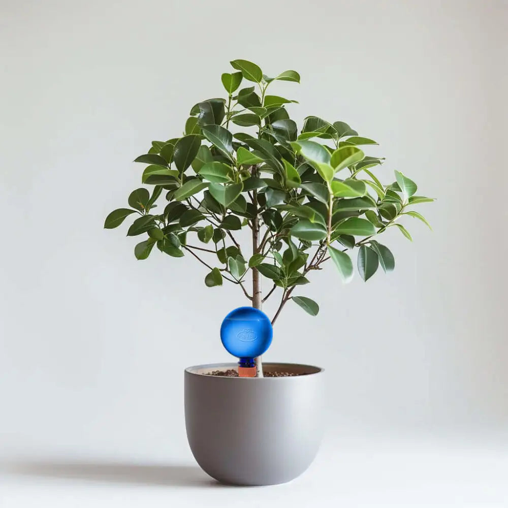 Healthy green plants with colorful Plantpal watering globes for automatic watering