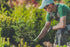 Man in a hat and work clothes tending to a plant.