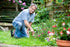 An older man in a blue polo shirt and jeans, gardening with a hand tool.