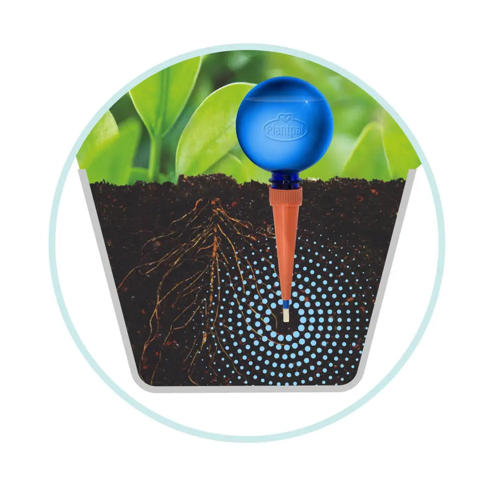 Plant Watering Globes | Watering Globes | Plantpal New Innovations