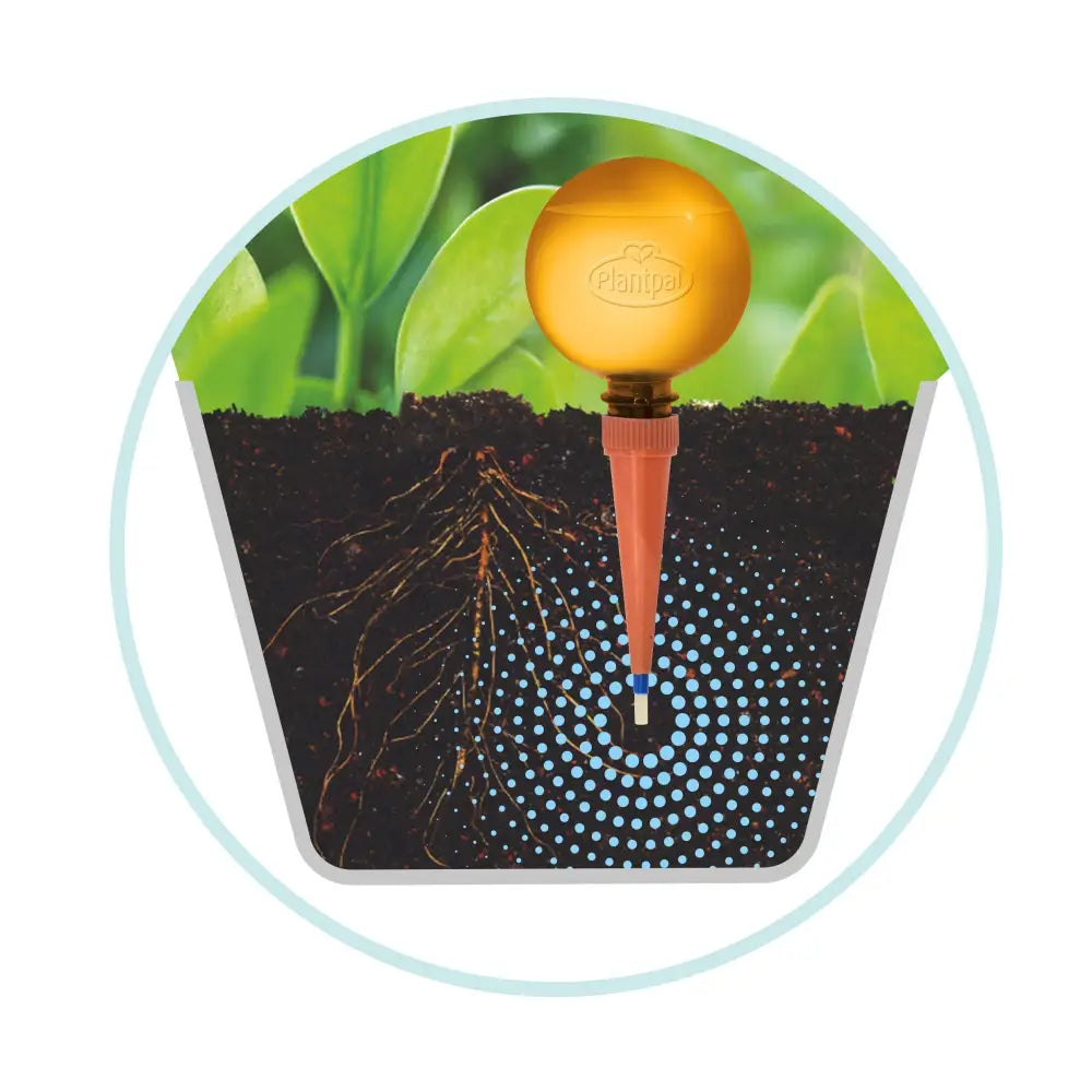 Plant Watering Globes | Watering Globes | Plantpal New Innovations