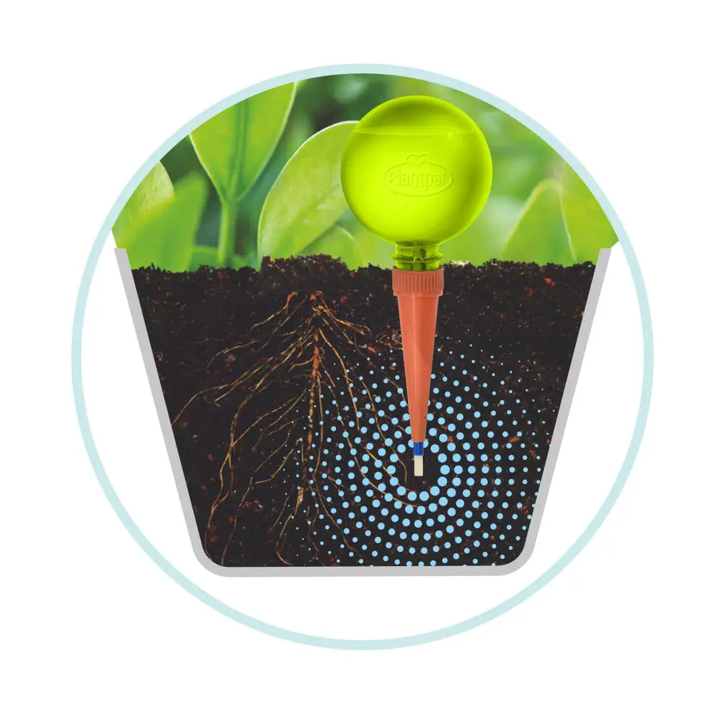 Plant Watering Globes | Watering Globes | Plantpal New Innovations