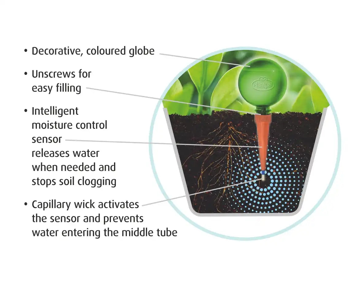 Self-watering plant globe with a moisture control sensor and capillary wick.