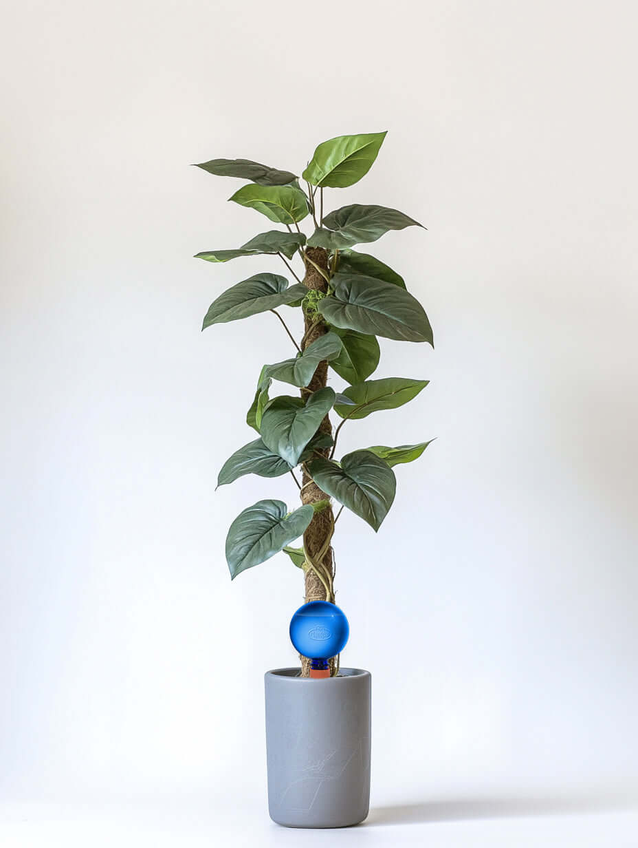 Healthy green plants with colorful Plantpal watering globes for automatic watering