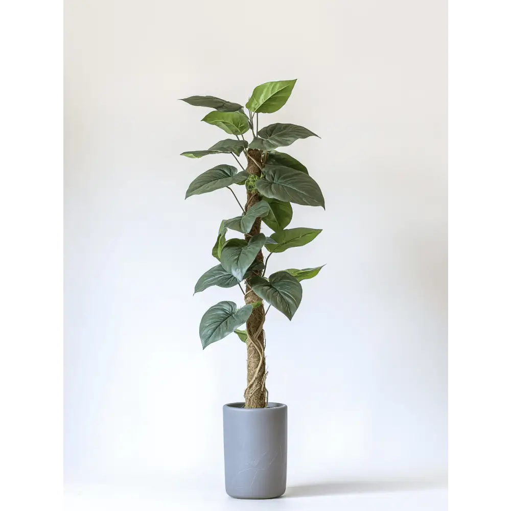 Healthy green plants with colorful Plantpal watering globes for automatic watering