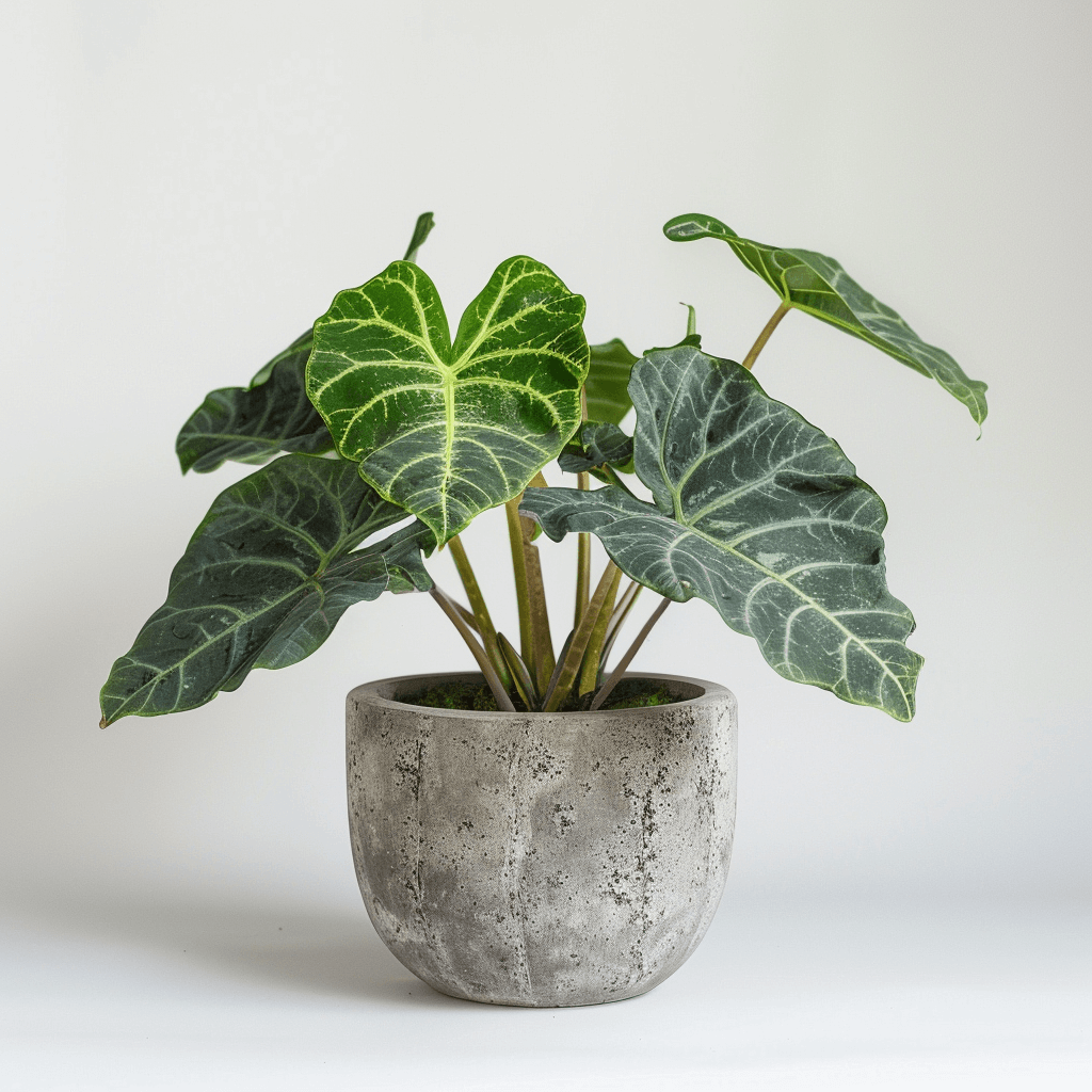 Healthy green plants with colorful Plantpal watering globes for automatic watering