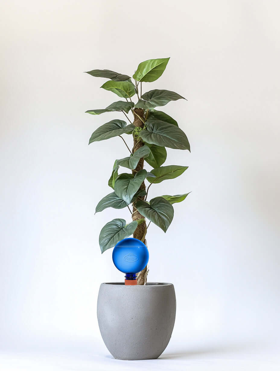 Healthy green plants with colorful Plantpal watering globes for automatic watering