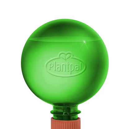 mini skef water globes for monstera deliciosa 21cm Monstera with Self-Watering Globe – Plantpal New Innovations