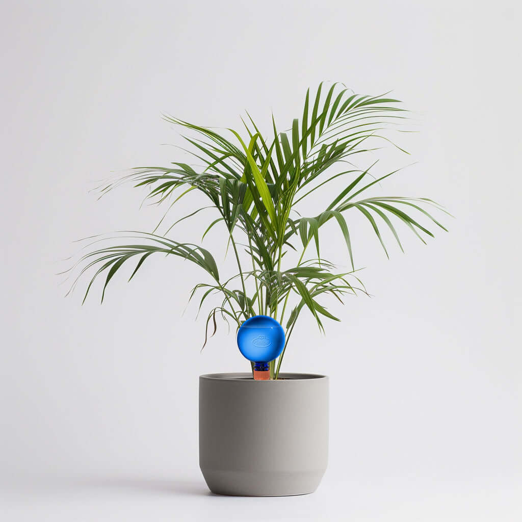 Healthy green plants with colorful Plantpal watering globes for automatic watering