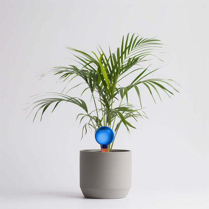 Healthy green plants with colorful Plantpal watering globes for automatic watering