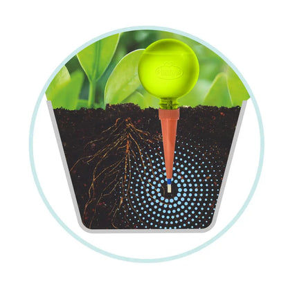 Plant Watering Globes | Watering Globes | Plantpal New Innovations