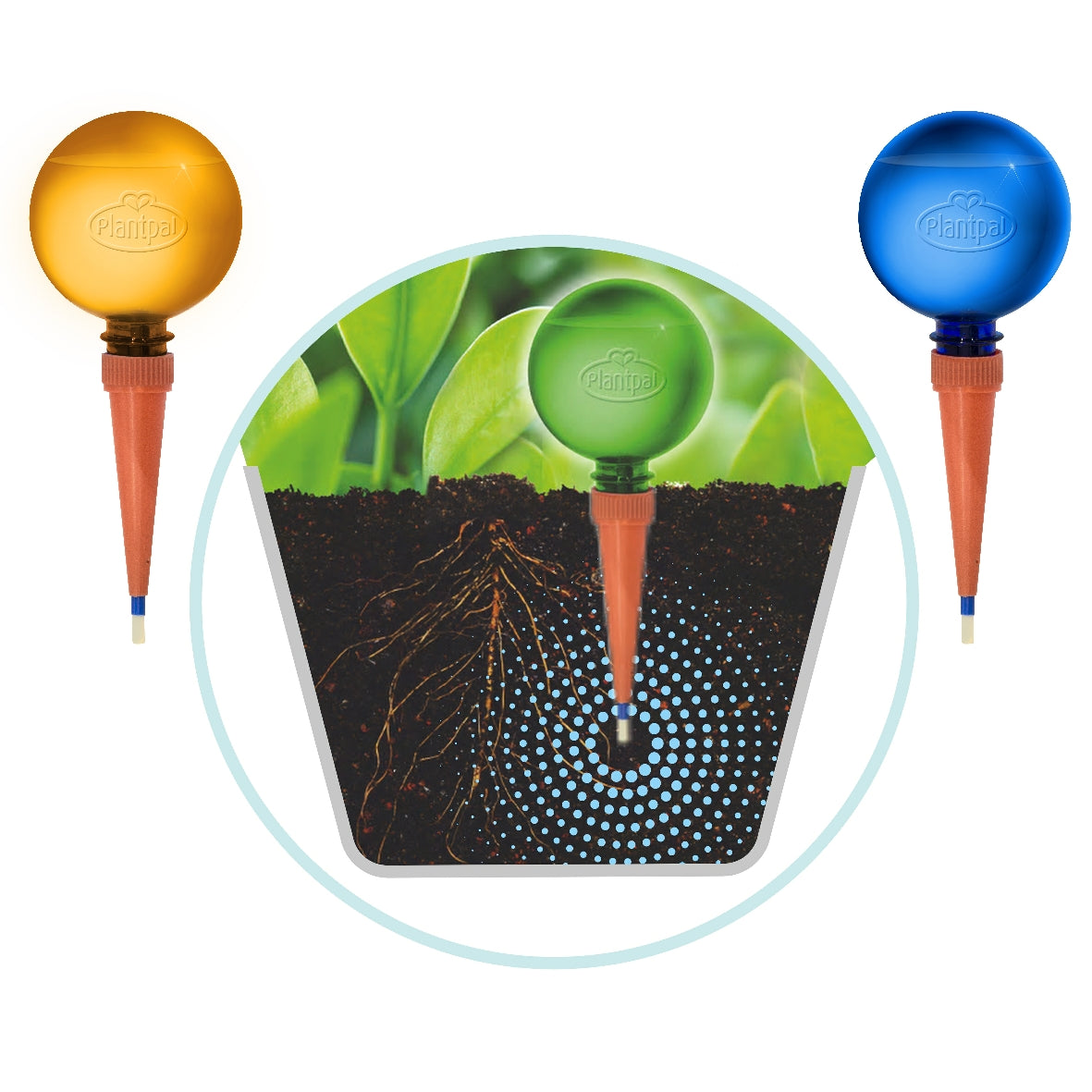 3 Pack Plant Watering Globes | Plantpal New Innovations