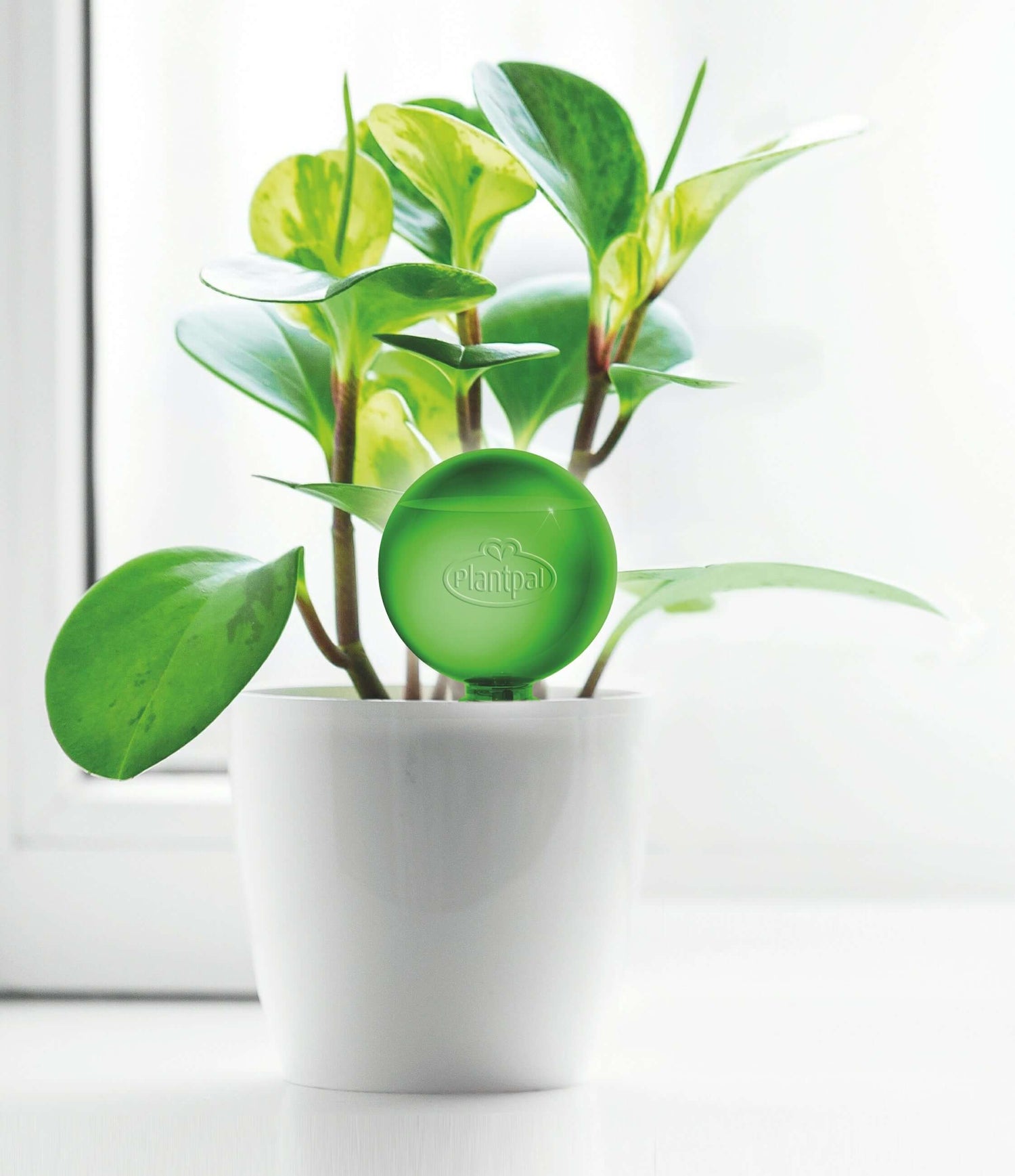 Plant Watering Stakes | Watering Stakes | Plantpal New Innovations